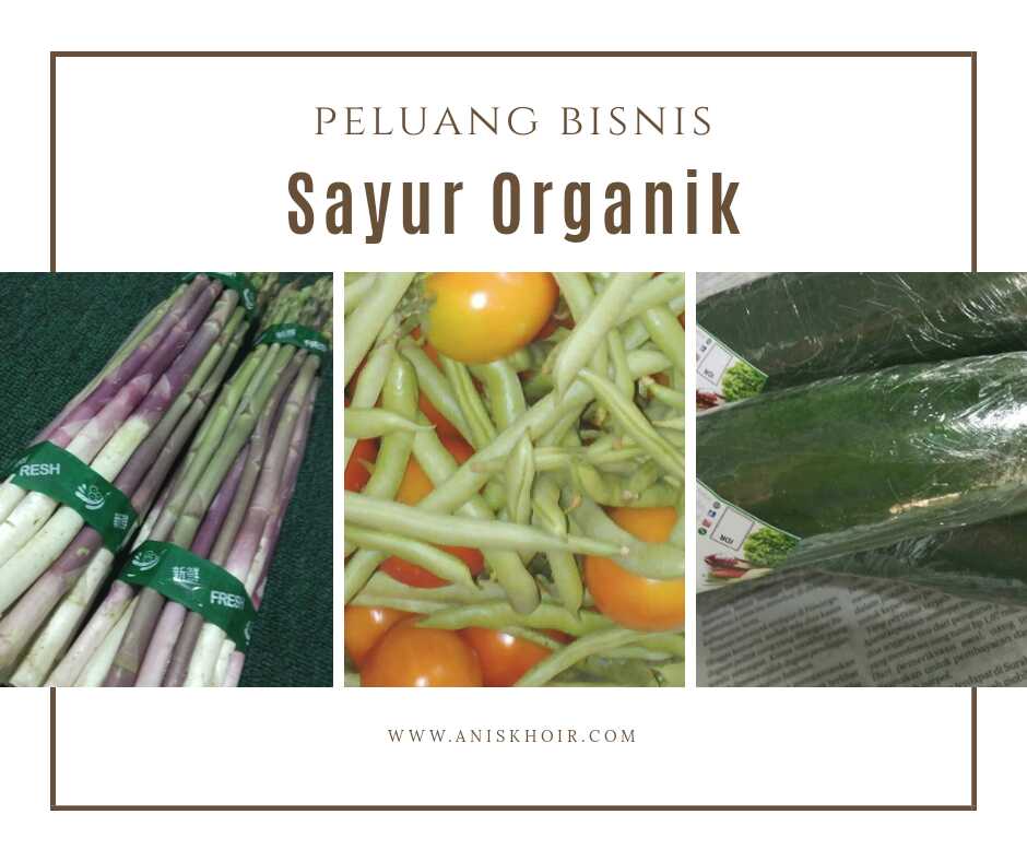 Bisnis sayur organik