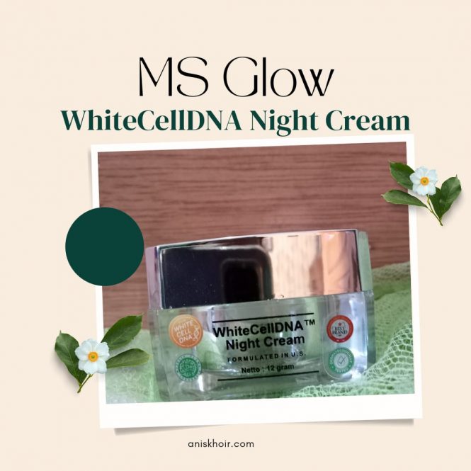 ms glow whitecelldna night cream