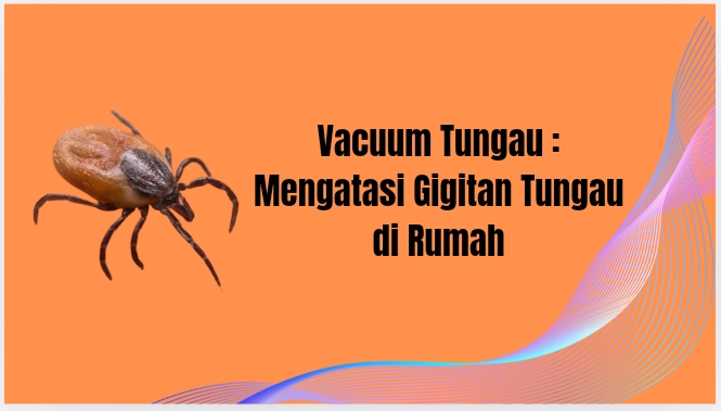 Vacuum tungau