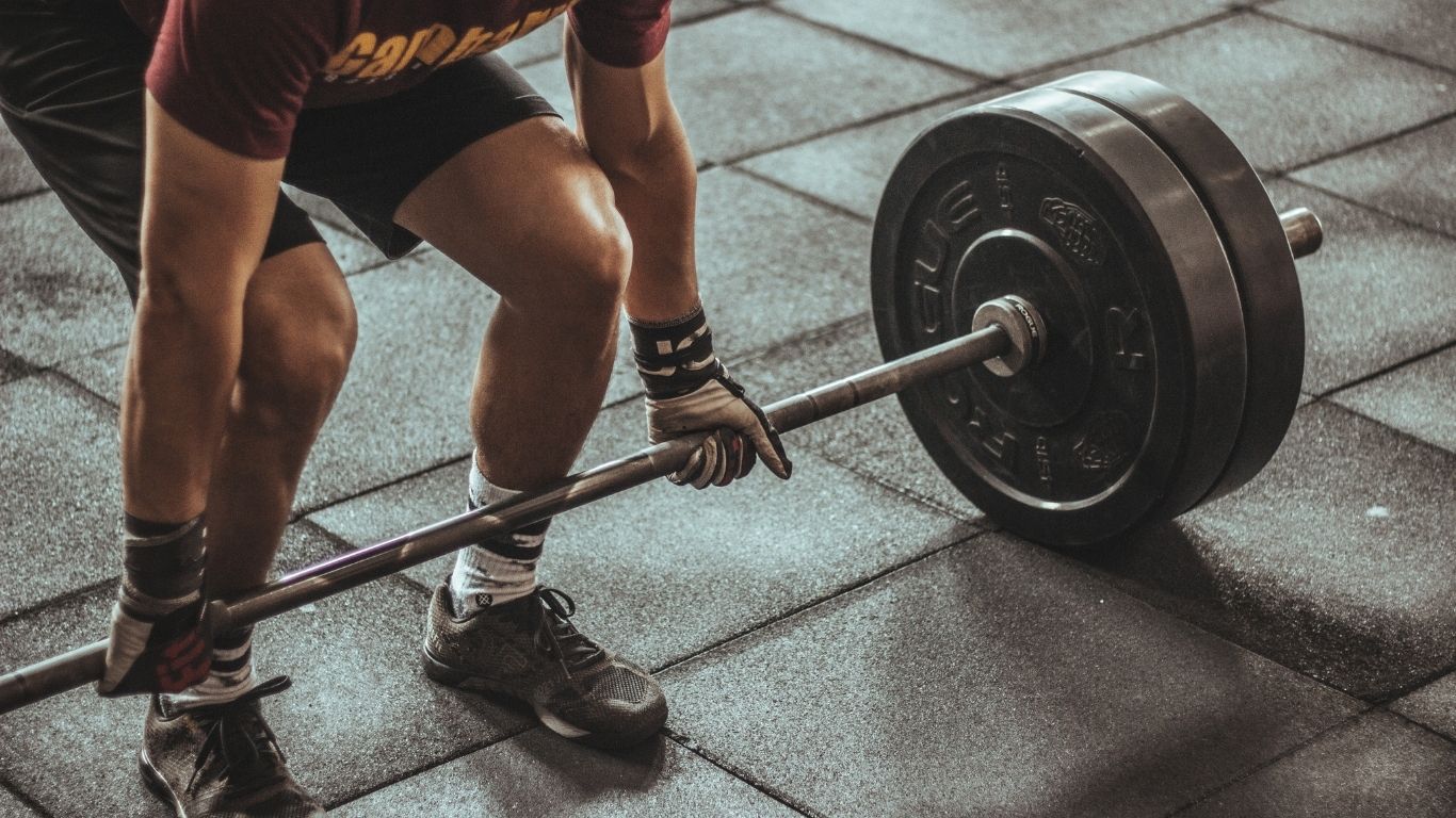 aplikasi gym
